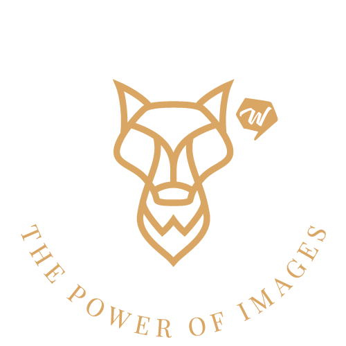 wolf fotografie - the power of images - 2020 - logo - fotograaf - Westerlo - België